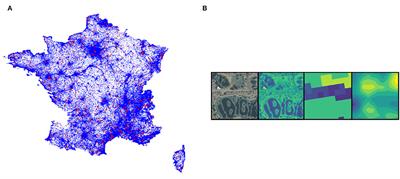 Very High Resolution Species Distribution Modeling Based on Remote Sensing Imagery: How to Capture Fine-Grained and Large-Scale Vegetation Ecology With Convolutional Neural Networks?